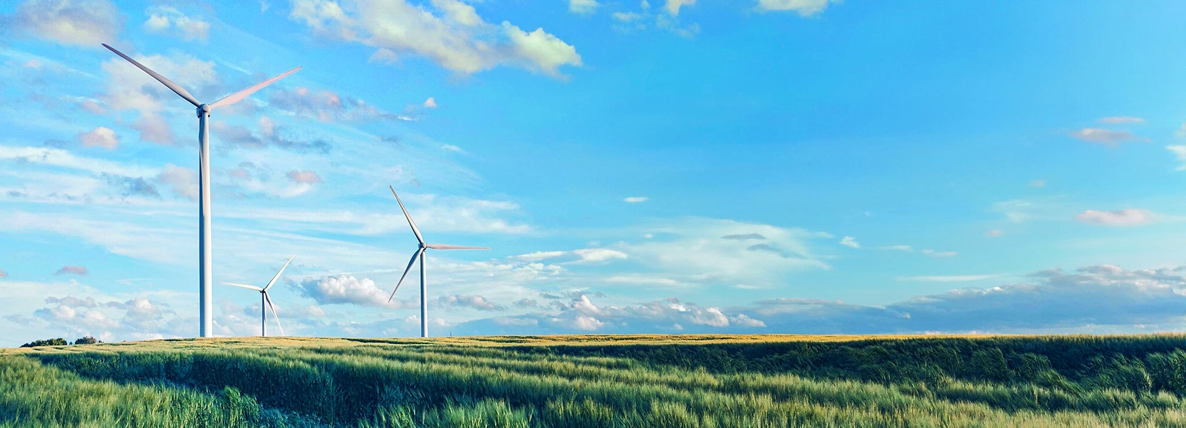 Wind turbines rising over open farmland at dusk